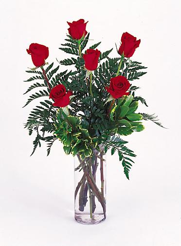 6 Red Roses